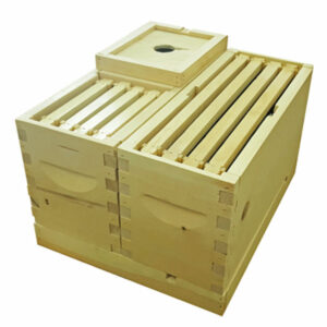 4 Way Queen Mating Nuc - Wax Dipped